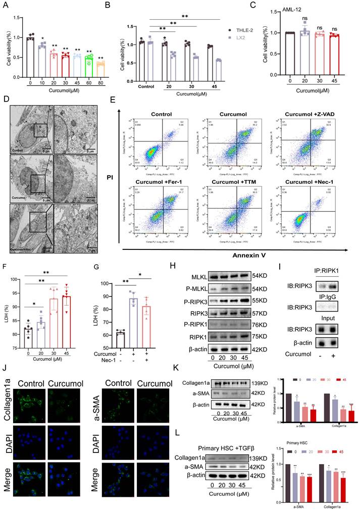 Int J Biol Sci Image