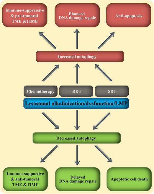 Int J Biol Sci Image