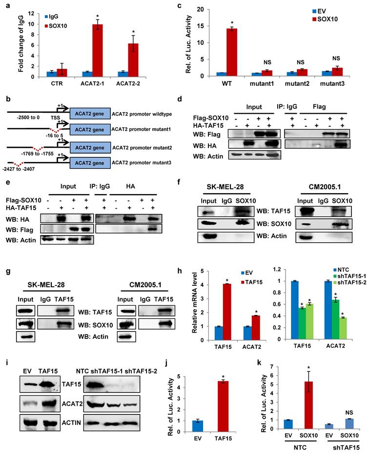 Int J Biol Sci Image