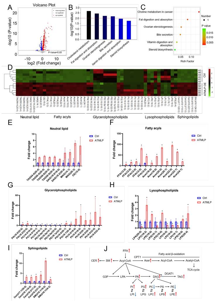 Int J Biol Sci Image