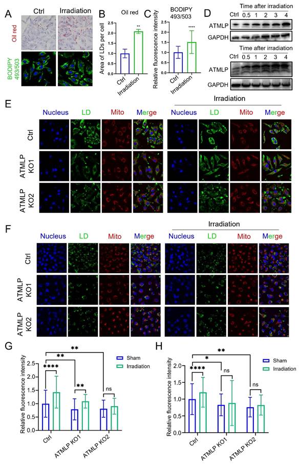 Int J Biol Sci Image