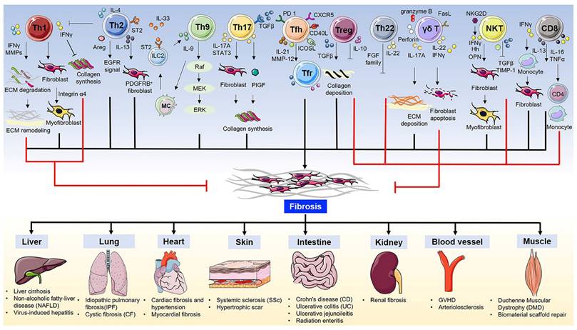 Int J Biol Sci Image