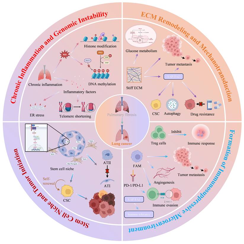 Int J Biol Sci Image