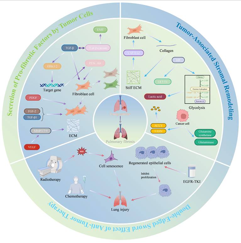 Int J Biol Sci Image
