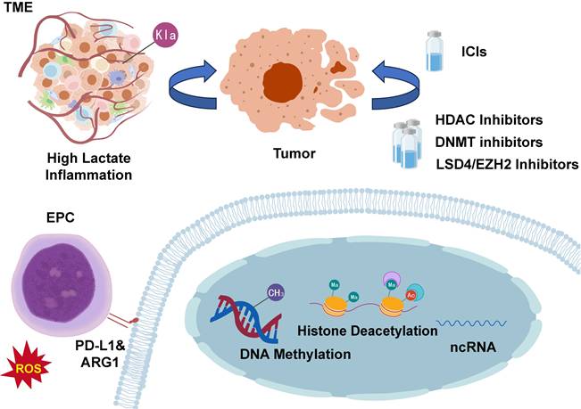 Int J Biol Sci Image