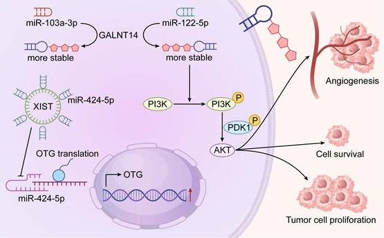 Int J Biol Sci Image