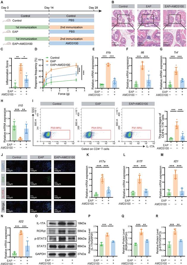 Int J Biol Sci Image