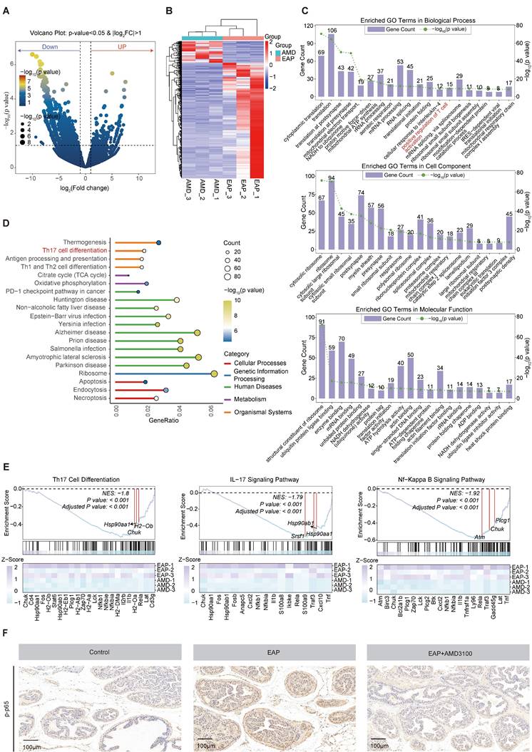 Int J Biol Sci Image