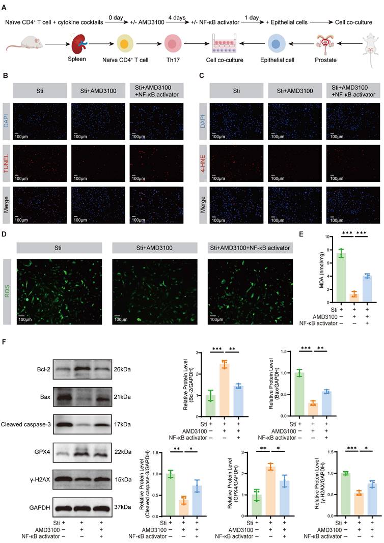 Int J Biol Sci Image