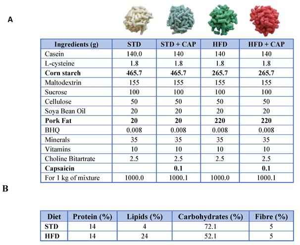 Int J Biol Sci Image