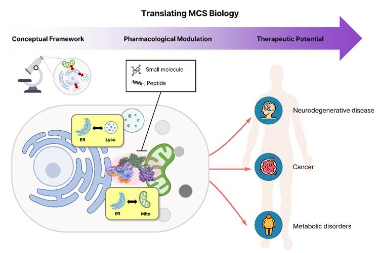 Int J Biol Sci Image
