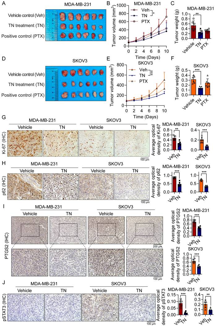 Int J Biol Sci Image