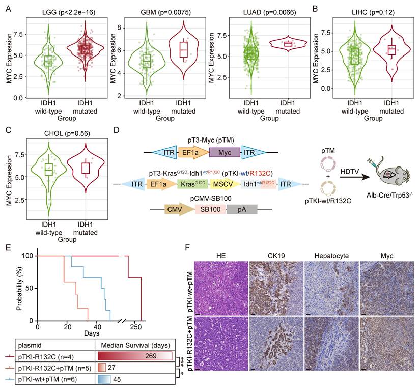 Int J Biol Sci Image