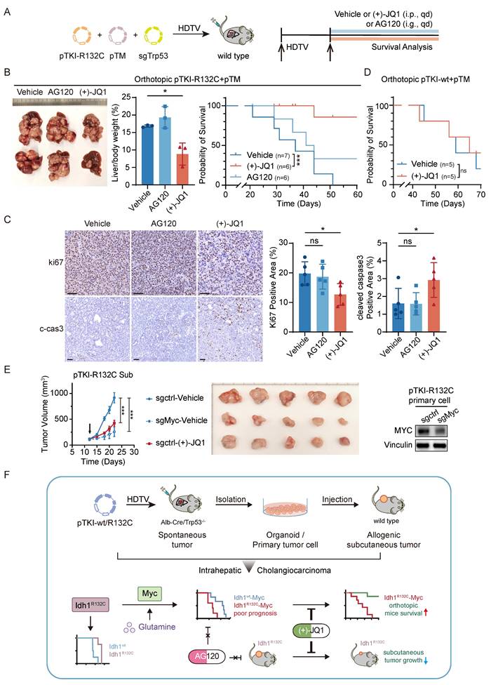 Int J Biol Sci Image