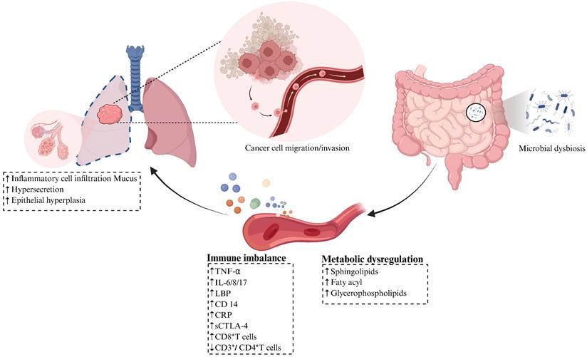 Int J Biol Sci Image