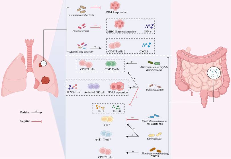 Int J Biol Sci Image