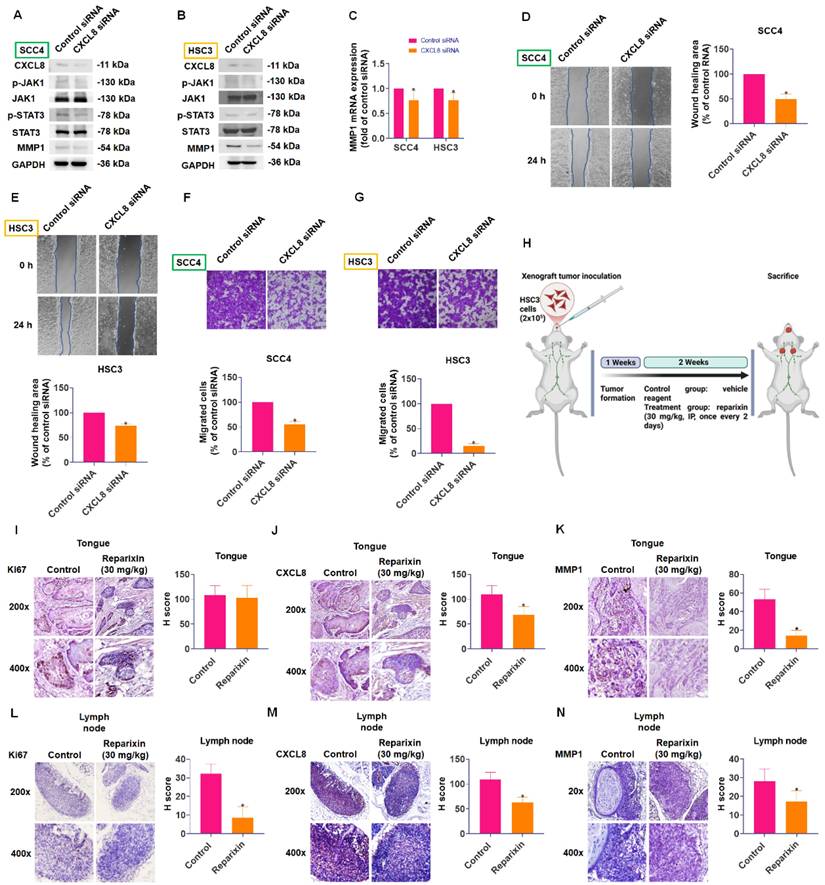 Int J Biol Sci Image