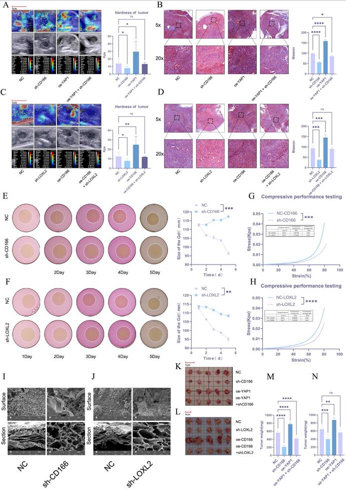 Int J Biol Sci Image