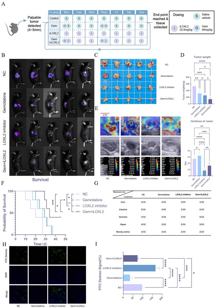 Int J Biol Sci Image