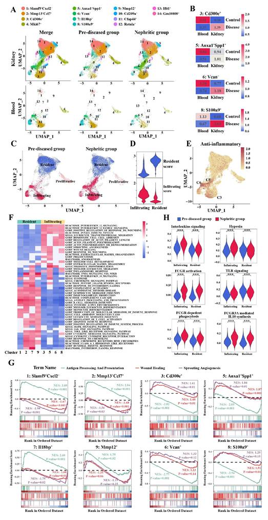 Int J Biol Sci Image