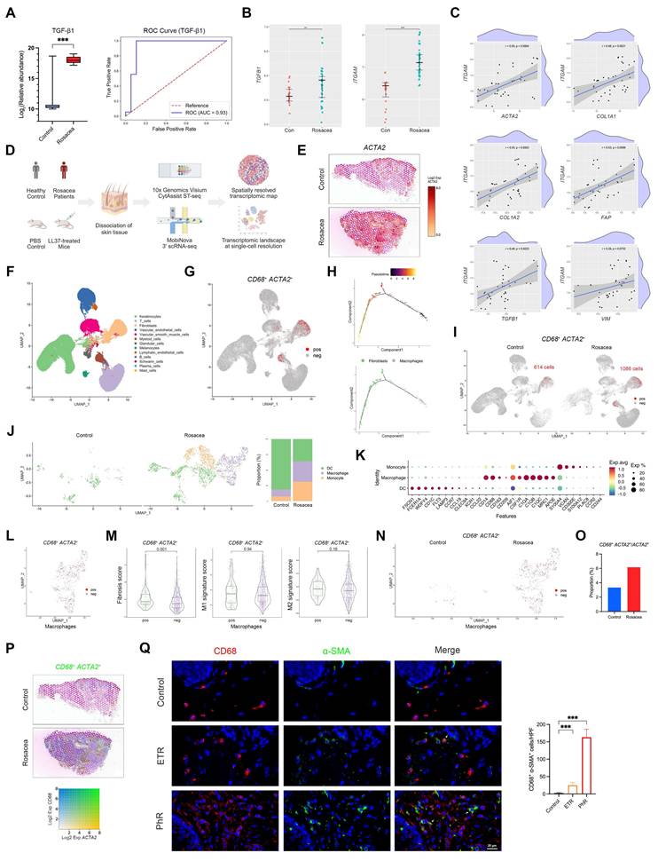 Int J Biol Sci Image