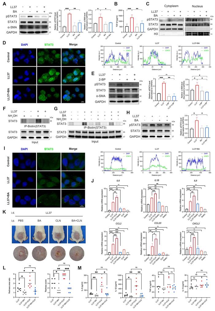 Int J Biol Sci Image