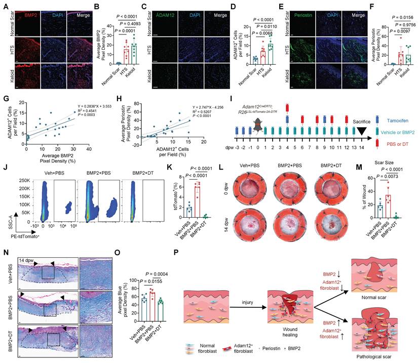 Int J Biol Sci Image