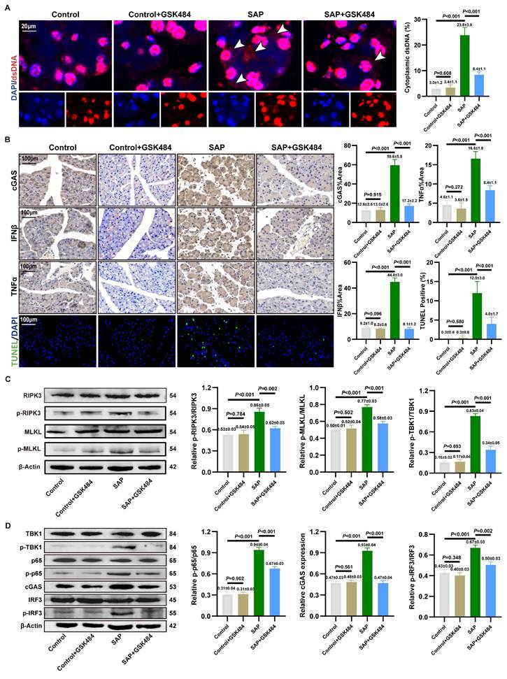 Int J Biol Sci Image