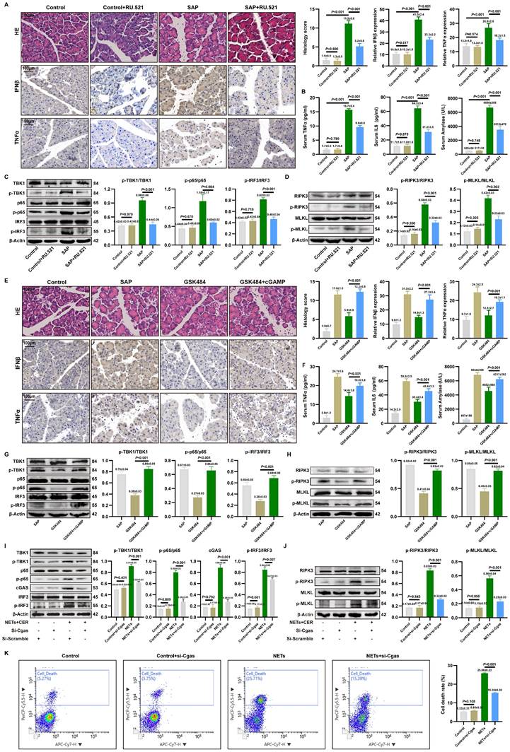 Int J Biol Sci Image
