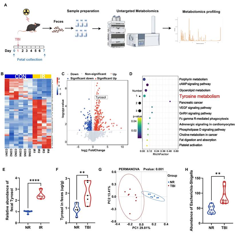 Int J Biol Sci Image