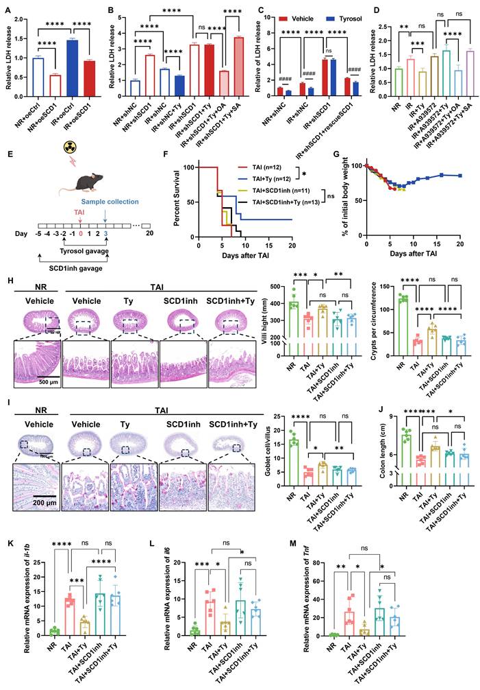 Int J Biol Sci Image