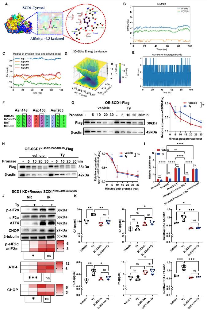 Int J Biol Sci Image