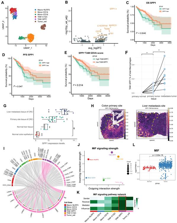 Int J Biol Sci Image