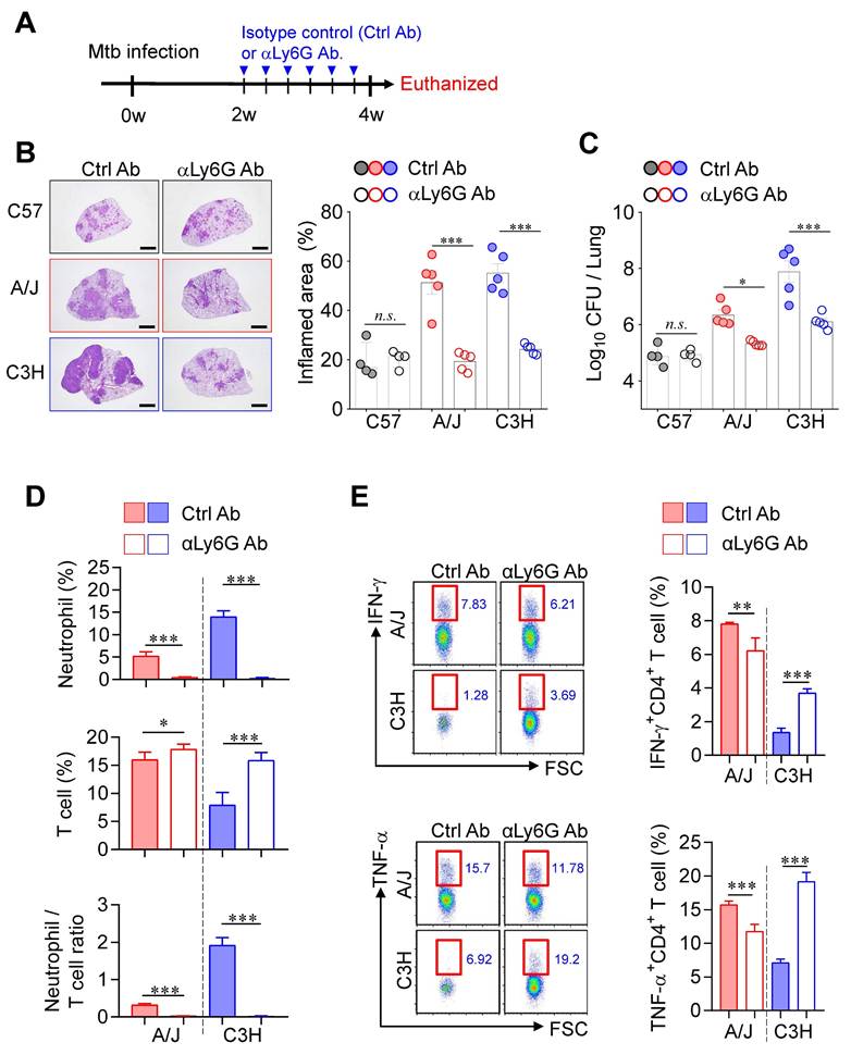 Int J Biol Sci Image