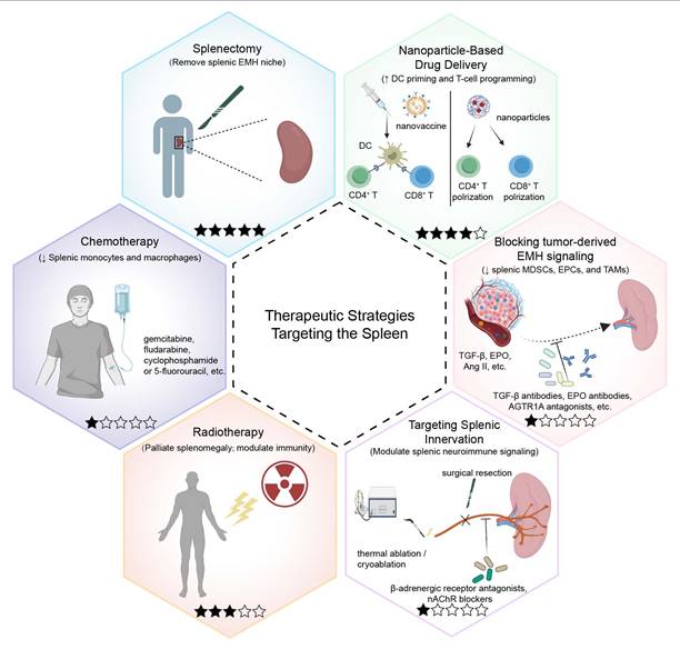 Int J Biol Sci Image