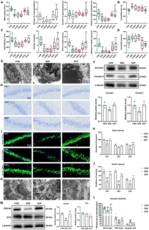Int J Biol Sci Image