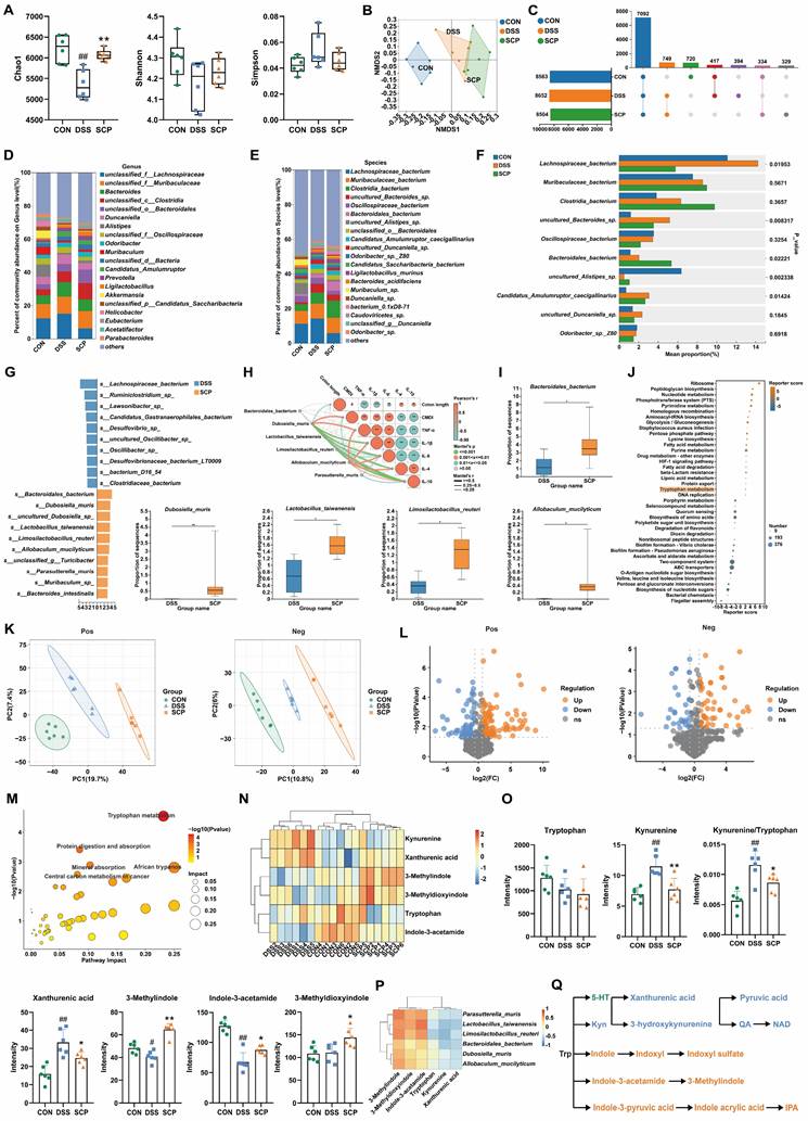 Int J Biol Sci Image