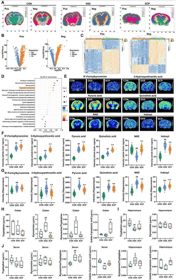 Int J Biol Sci Image