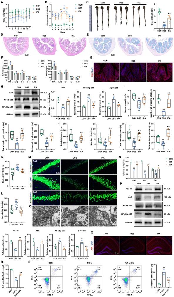 Int J Biol Sci Image