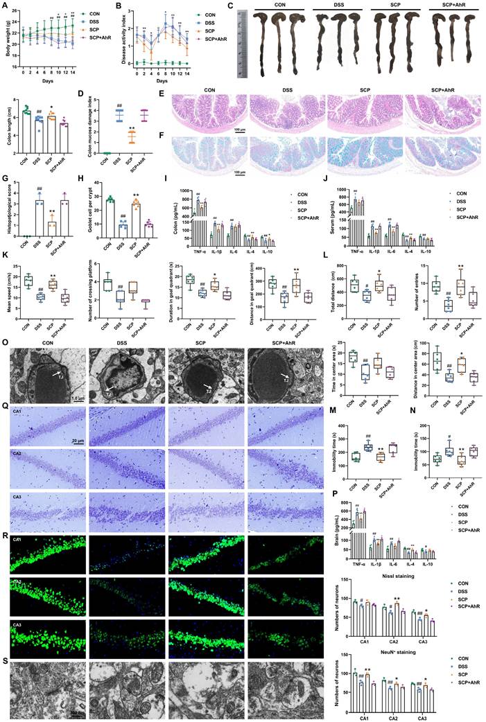 Int J Biol Sci Image