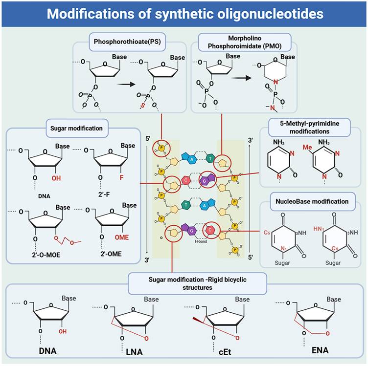 Int J Biol Sci Image