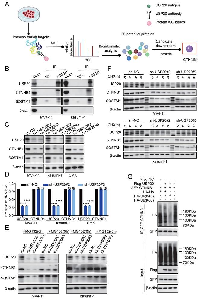 Int J Biol Sci Image