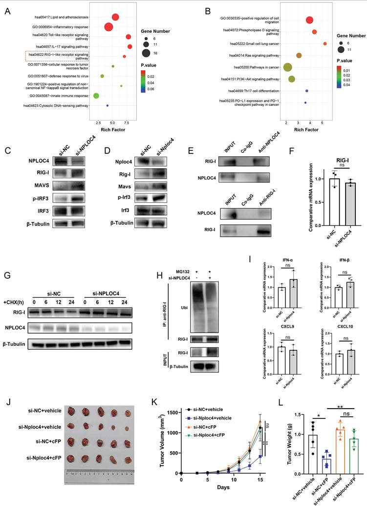Int J Biol Sci Image