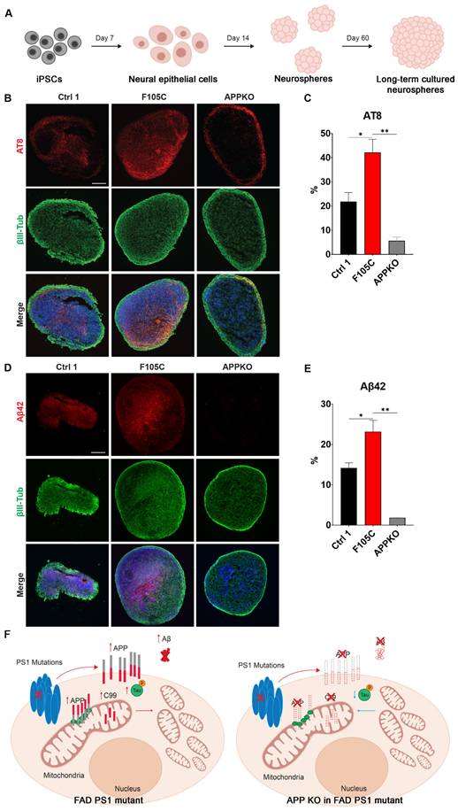 Int J Biol Sci Image