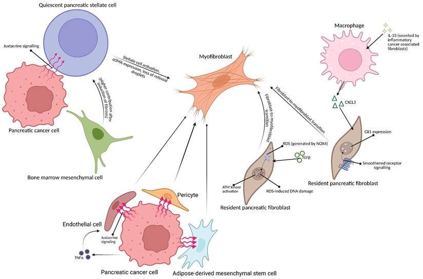 Int J Biol Sci Image