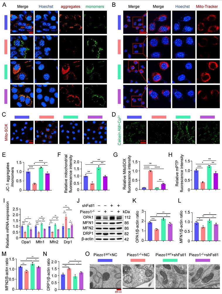 Int J Biol Sci Image