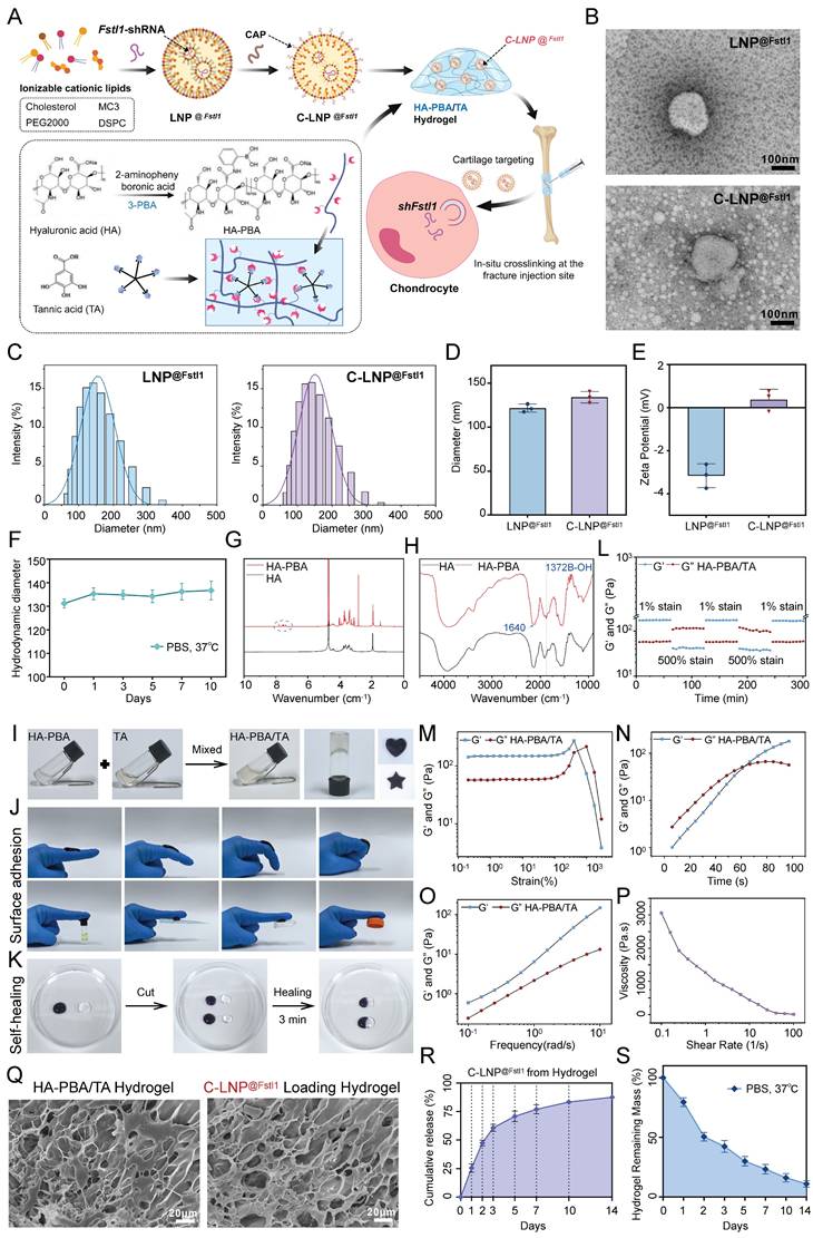 Int J Biol Sci Image