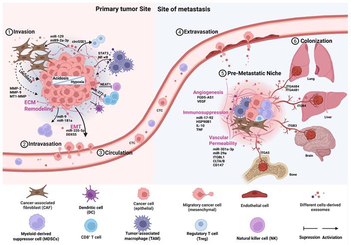 Int J Biol Sci Image