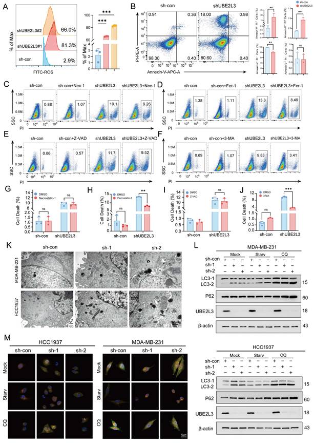 Int J Biol Sci Image