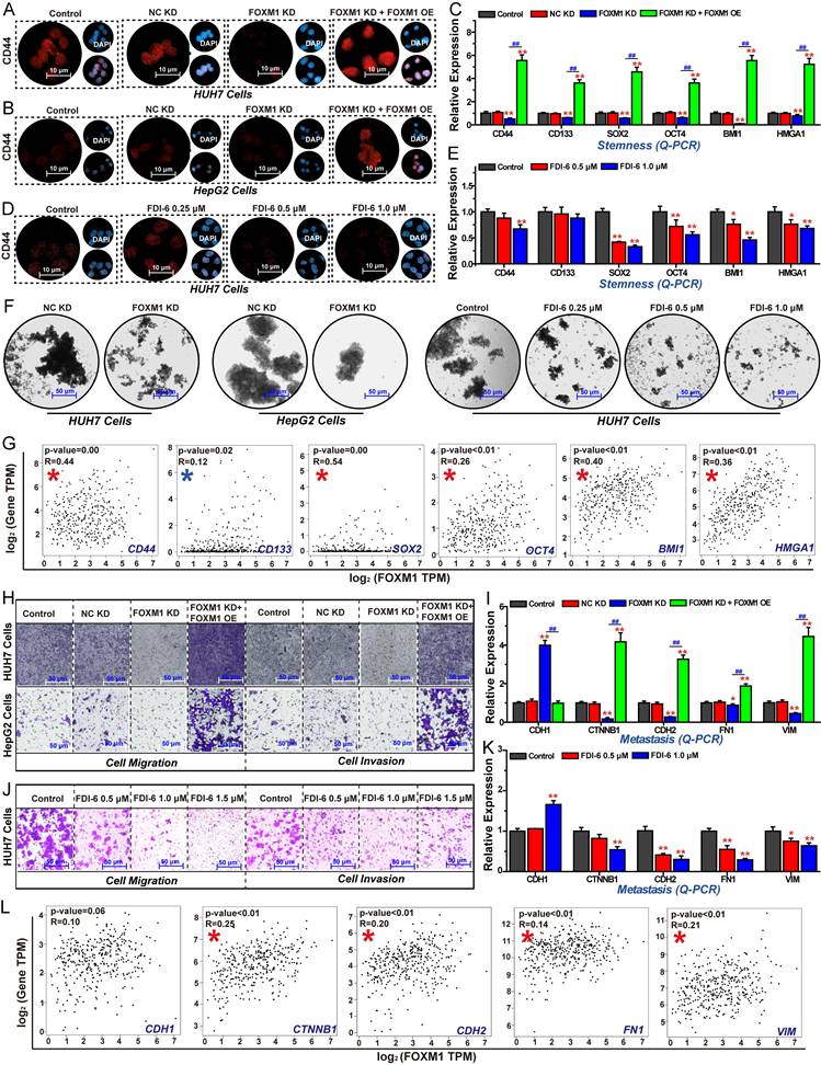 Int J Biol Sci Image